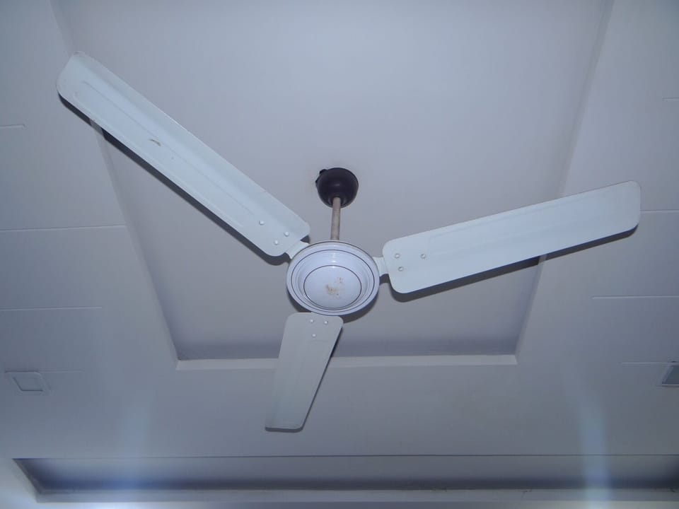 Fan
