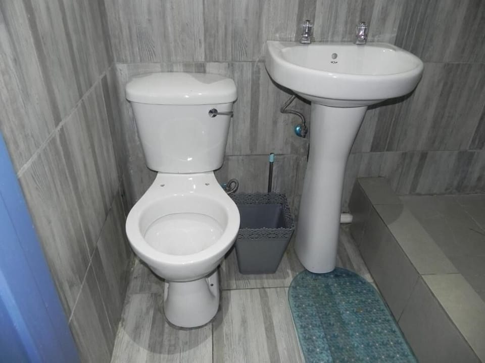 Double Room | Bathroom | Shower, soap, toilet paper