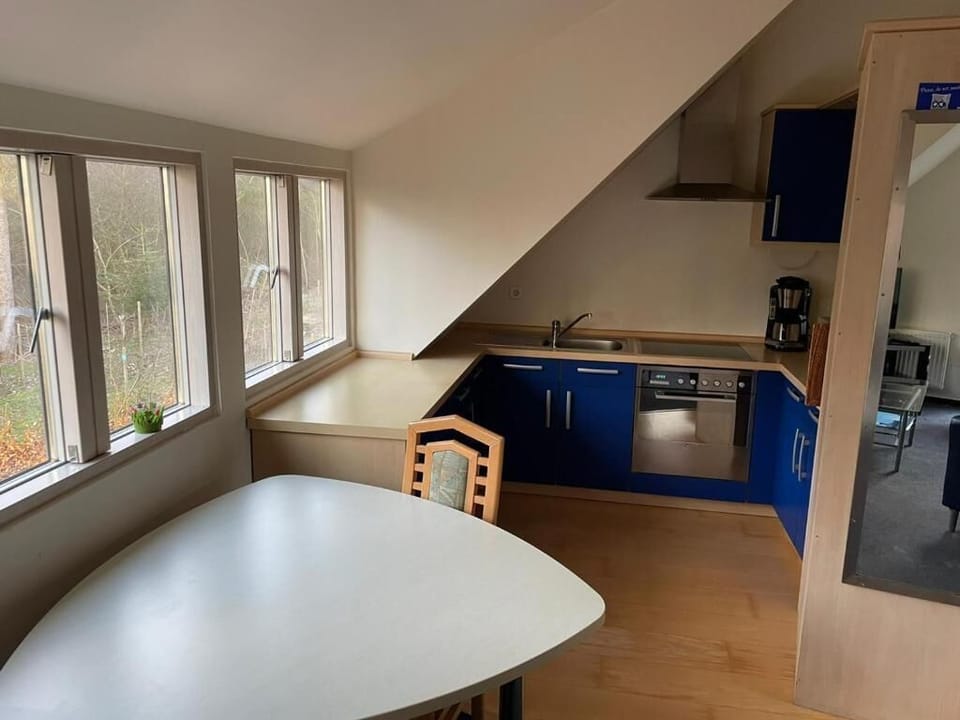 Apartment, 1 Bedroom, Ocean View | Private kitchen