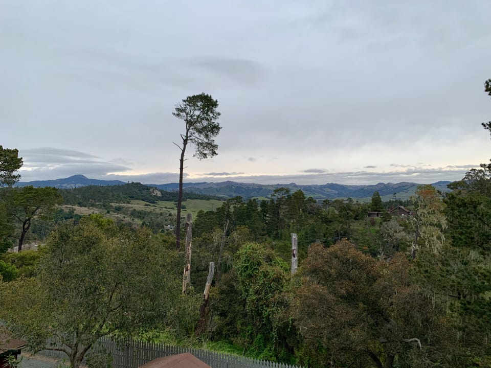 Standard Room, 2 Queen Beds, Garden View | Park view