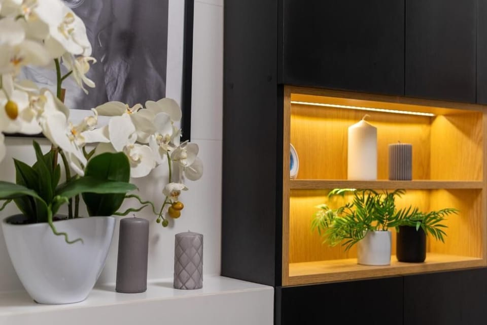 Comfort Studio | Interior detail