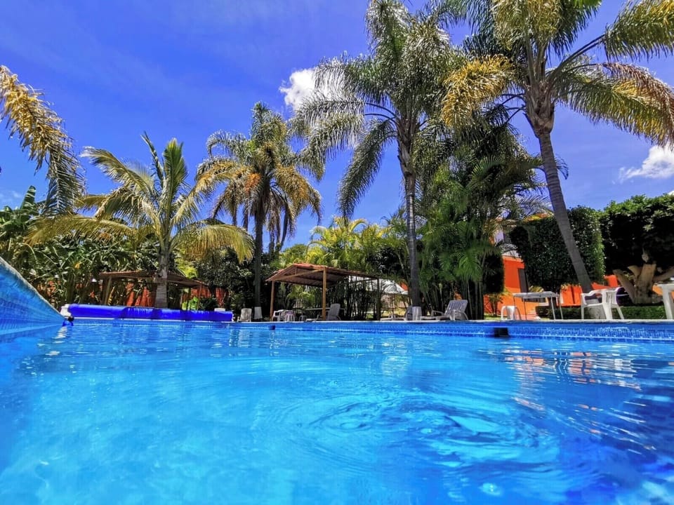 Outdoor pool, open 8 AM to 9:00 PM, sun loungers