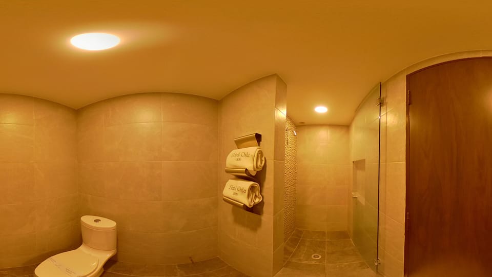 Shower, free toiletries, hair dryer, slippers