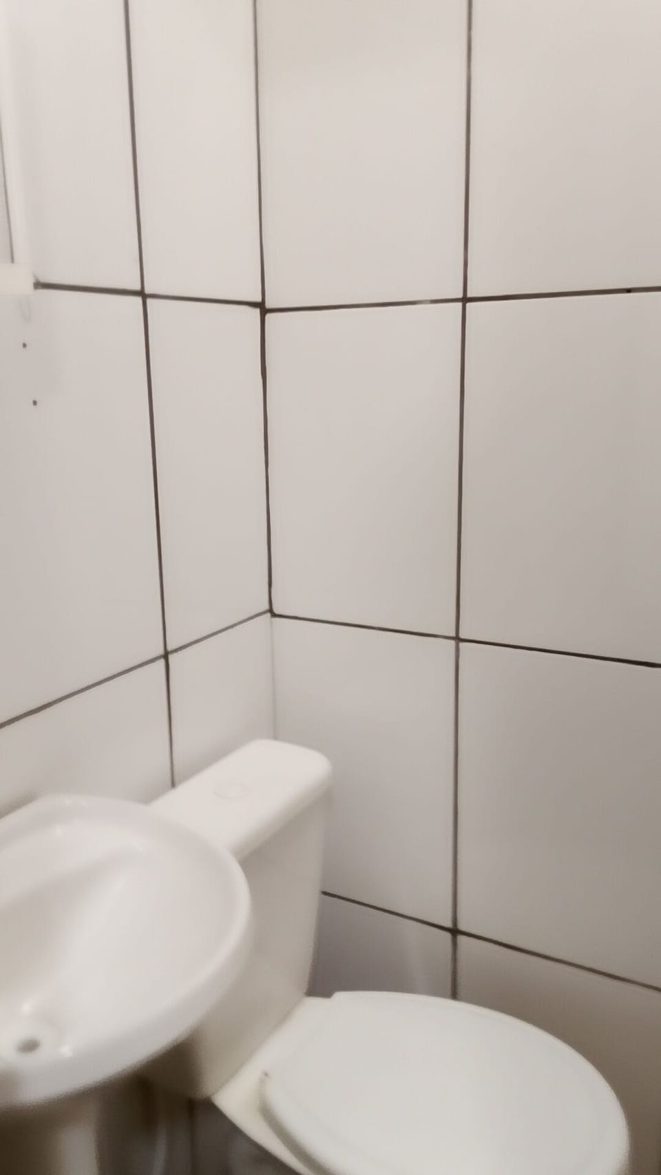 Shower, towels, soap, toilet paper
