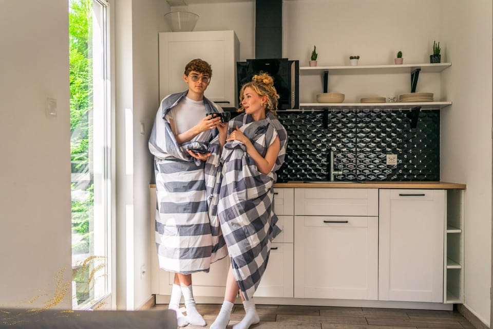 Fridge, stovetop, dishwasher, highchair