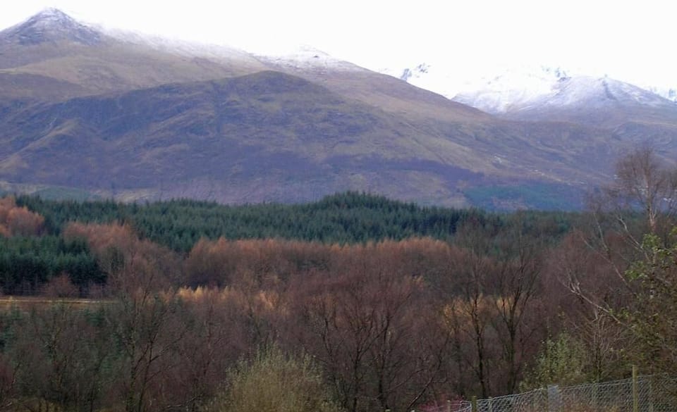 Standard Double Room, Garden View | Miscellaneous