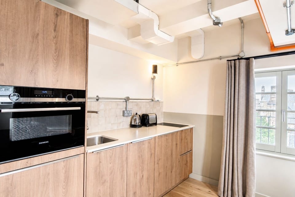 Deluxe Apartment | Private kitchen | Full-size fridge, microwave, oven, dishwasher