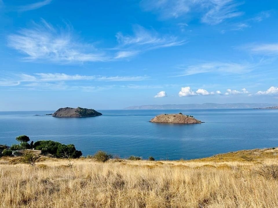 Land view from property
