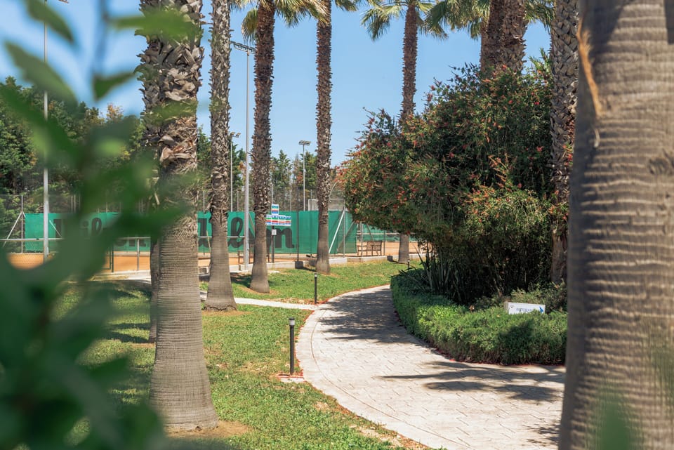 Tennis court