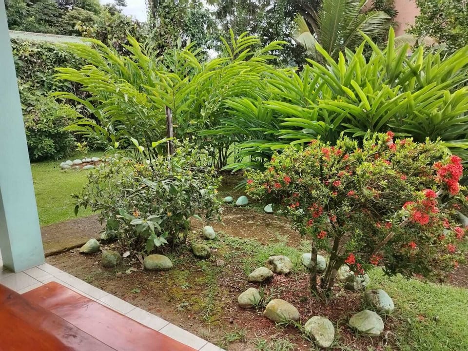 Classic Triple Room, Garden View | Property grounds