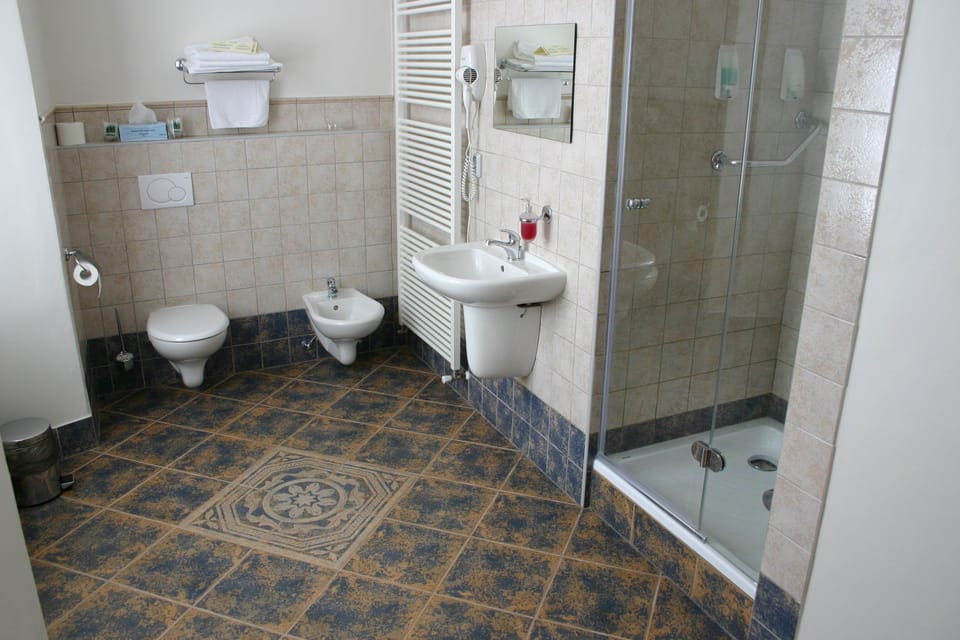 Deluxe Double Room | Bathroom | Shower, free toiletries, towels