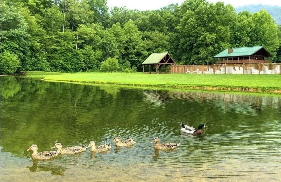 Cabin, 2 Bedrooms | Miscellaneous