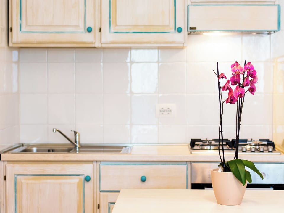 Apartment, 1 Bedroom, Terrace | Interior