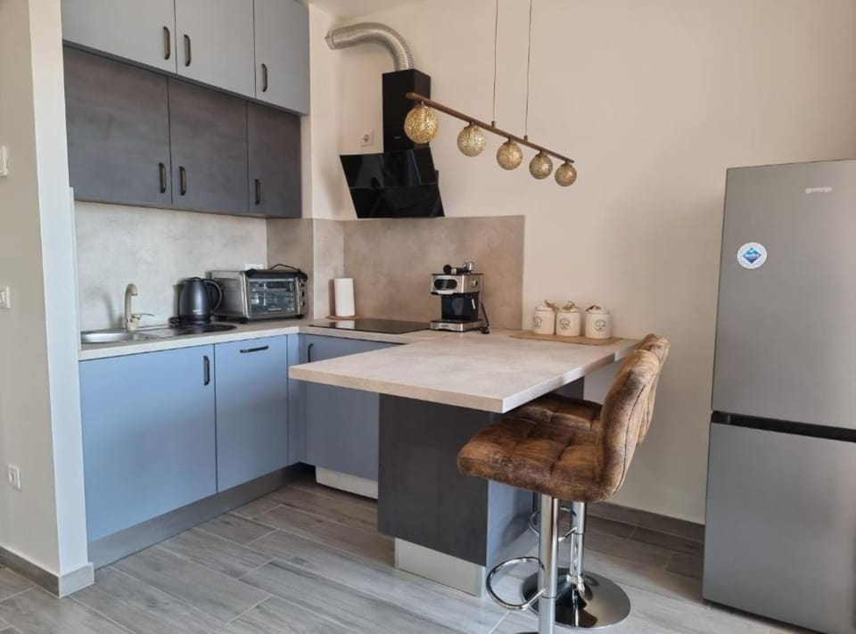 Studio (Studio Apartment with Loggia and SeaV) | Private kitchen | Fridge