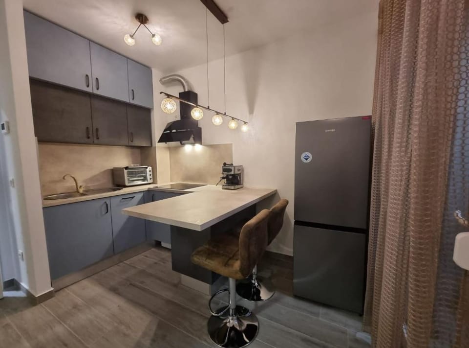Studio (Studio Apartment with Loggia and SeaV) | Private kitchen | Fridge