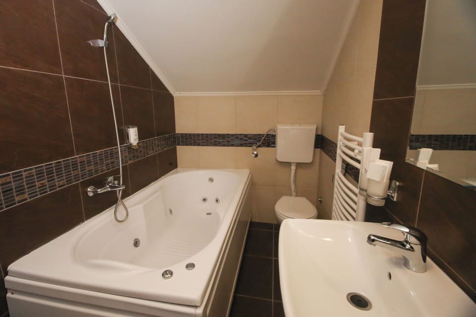 Luxury Studio | Bathroom | Towels, soap, shampoo, toilet paper