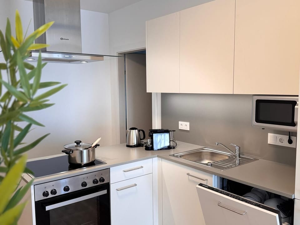 Superior Apartment, Balcony | Private kitchen | Full-size fridge, microwave, oven, stovetop