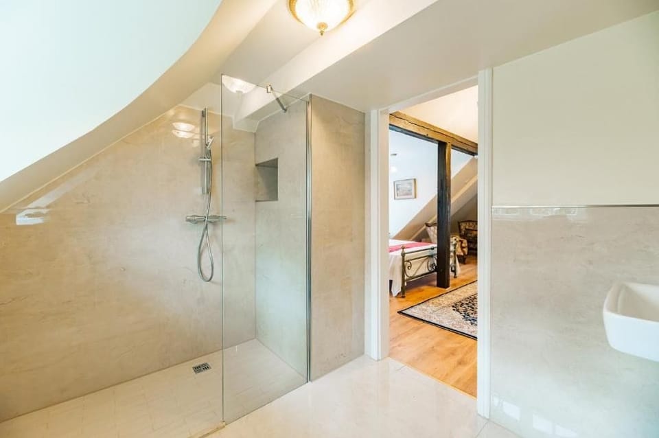 Shower, free toiletries, hair dryer, towels