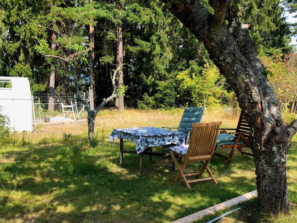 House | Outdoor dining