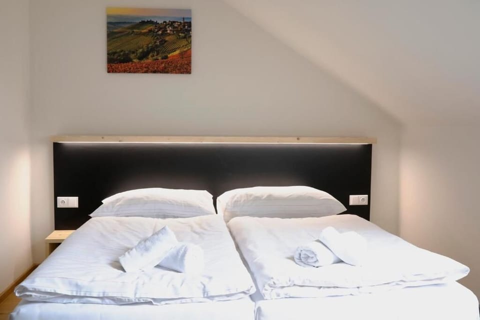 Classic Double Room | Desk, WiFi (free)