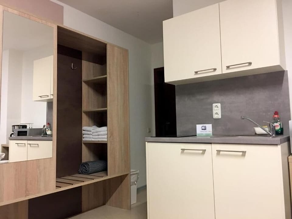 Comfort Quadruple Room | Private kitchen | Fridge, microwave, stovetop, electric kettle
