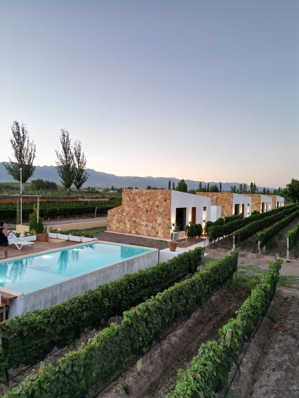 Comfort Cabin, Balcony, Vineyard View | Pool | Seasonal outdoor pool