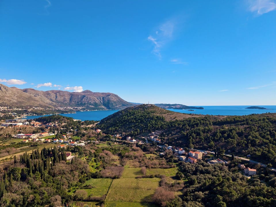 Apartment (4 Bedrooms) | View from room