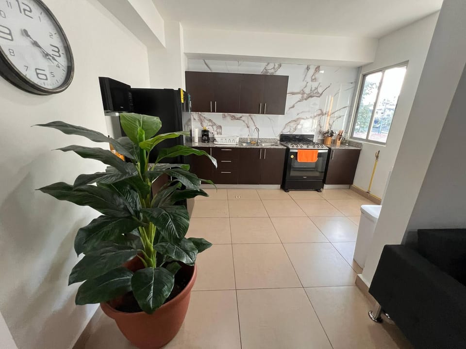 Apartment, 2 Bedrooms, City View | Private kitchen