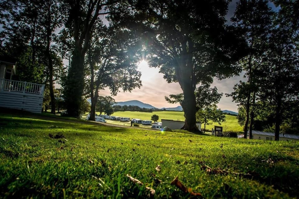 Park view