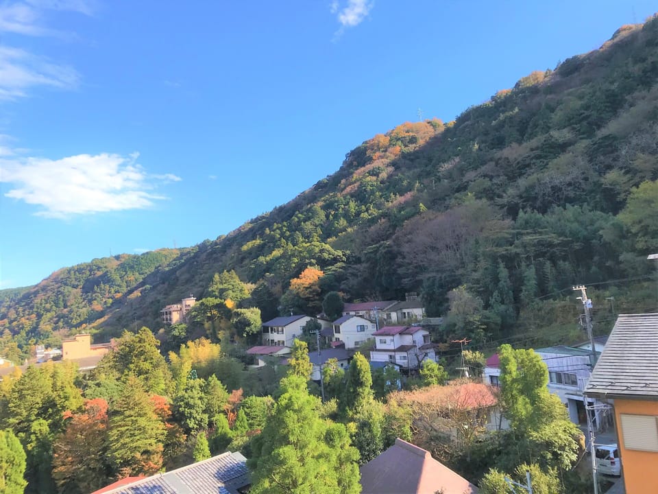 Japanese Ensuite Room, Mountain View | View from room