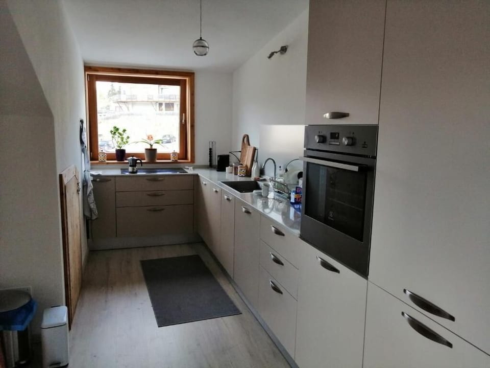 Apartment, Balcony, Mountain View | Private kitchen