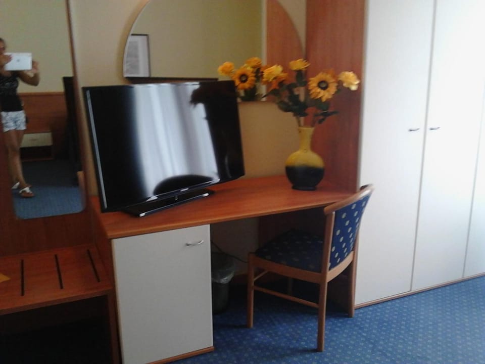 Desk, cribs (surcharge), rollaway beds (surcharge), WiFi (free)