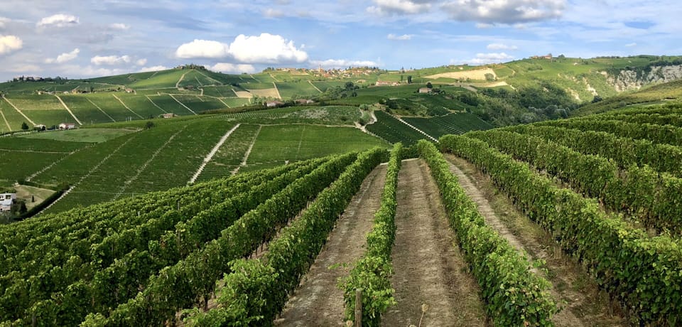 Winery