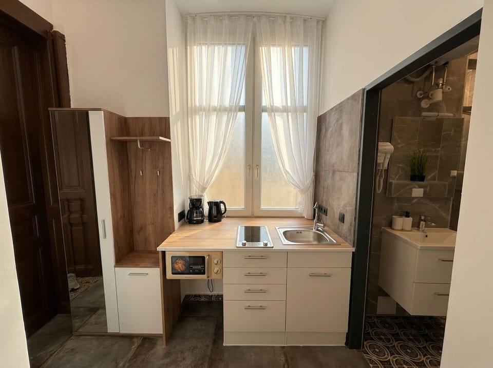 Basic Apartment | Private kitchen | Microwave, stovetop, cookware/dishes/utensils