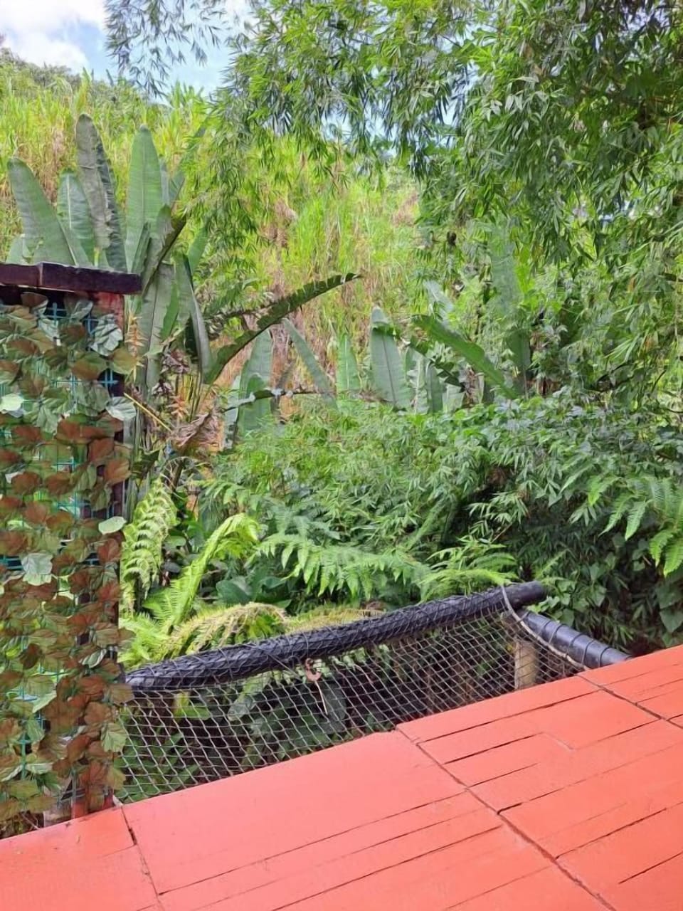 Chalet, Garden View | Property grounds
