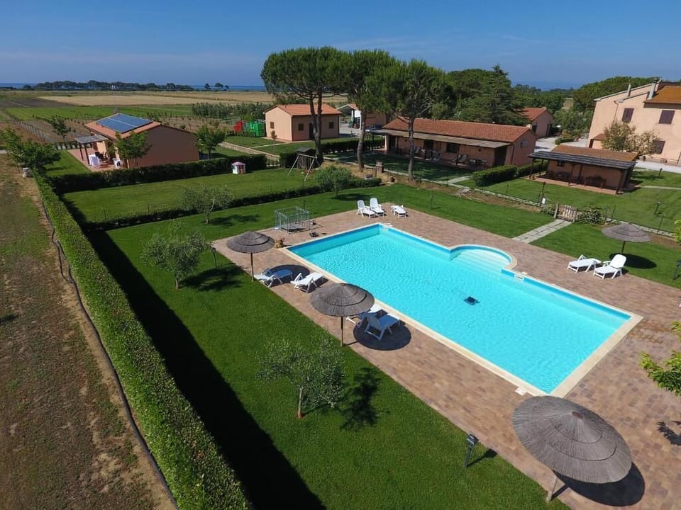 Seasonal outdoor pool, pool umbrellas, sun loungers