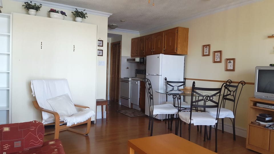 Studio, Lake View | Living room | 1-inch flat-screen TV with cable channels, TV, fireplace
