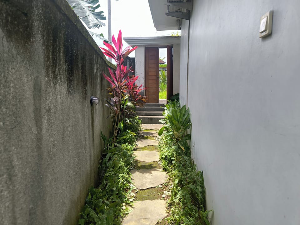 Deluxe Villa | Exterior detail