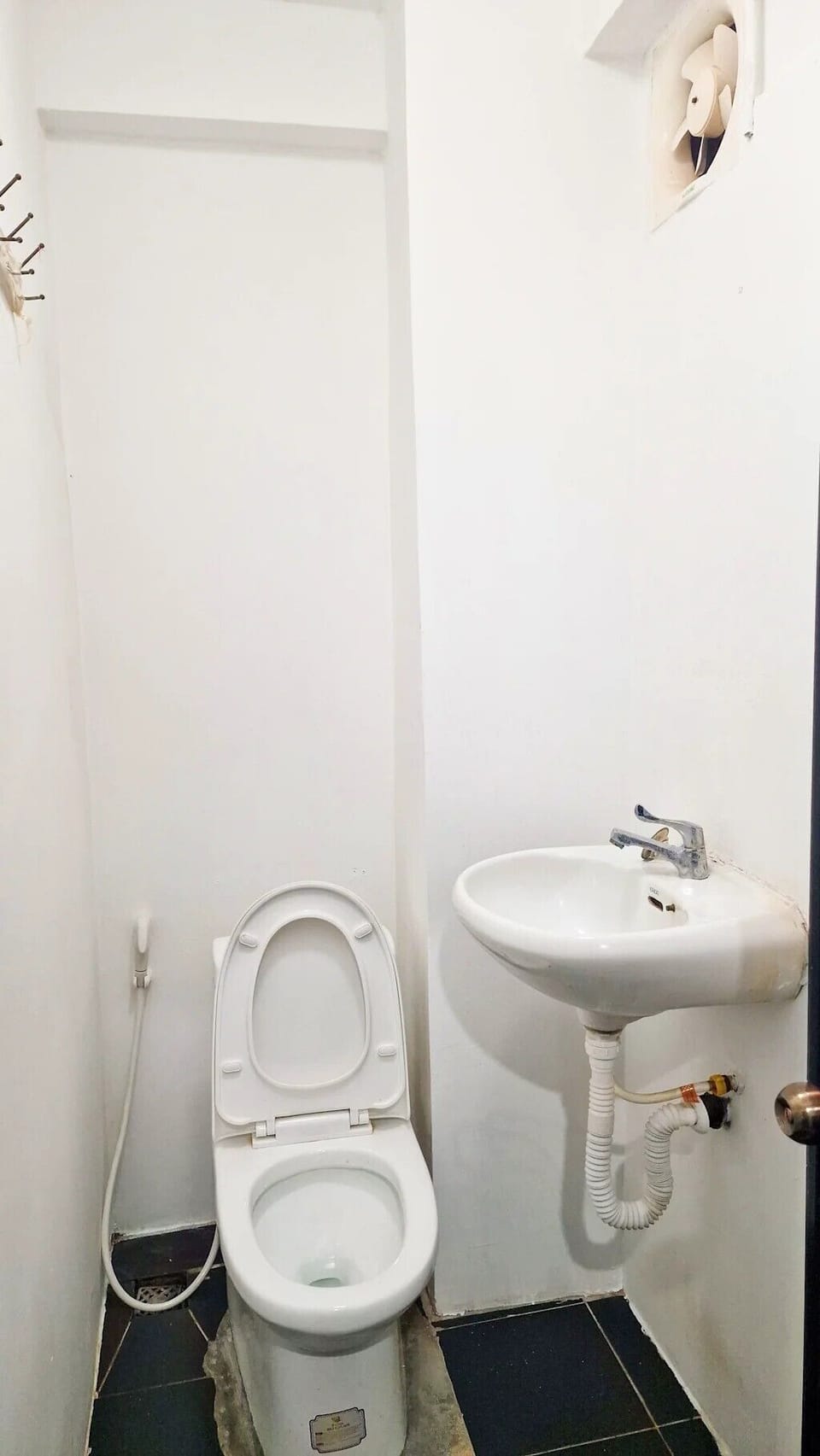 Shower, towels, toilet paper