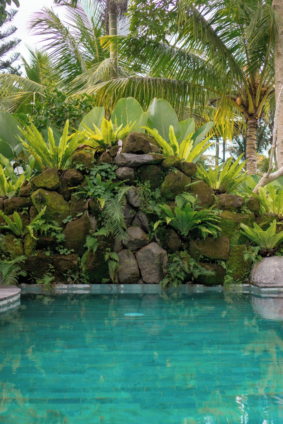 Deluxe Villa, Private Pool | Pool