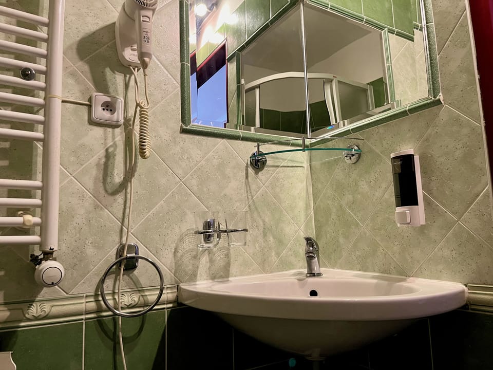 Classic Double Room, 1 King Bed, Pets Allowed, Courtyard View | Bathroom | Shower, hair dryer, towels, soap