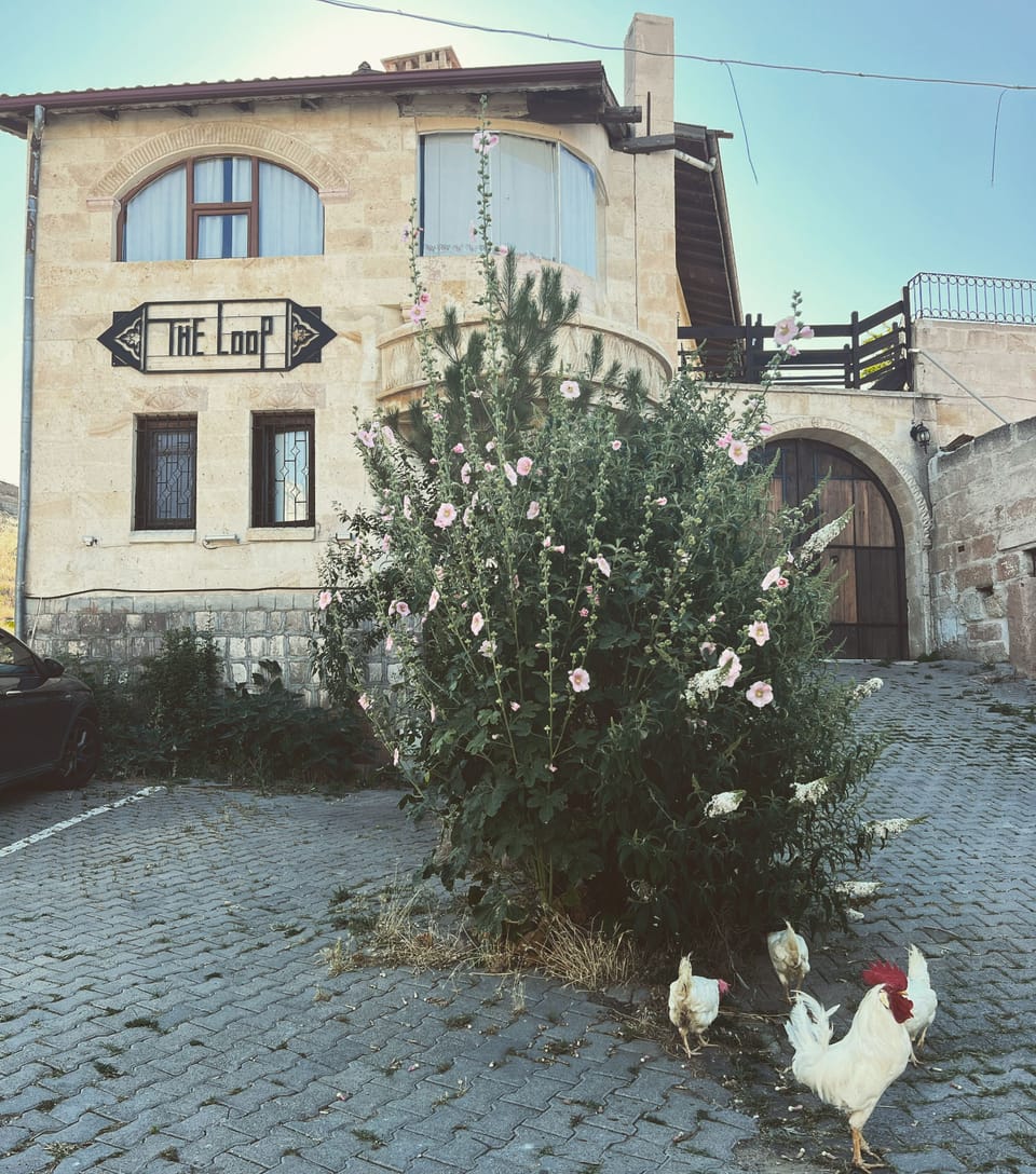Exterior