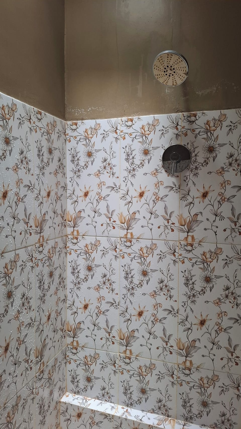 Hair dryer, bidet, towels, soap
