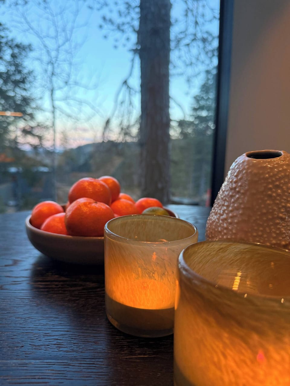Cabin, 2 Bedrooms, Terrace, Mountain View | Food and drink