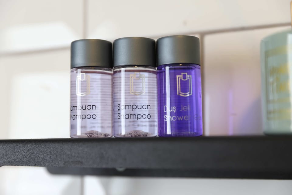 Economy Room | Bathroom | Shower, free toiletries, hair dryer, towels