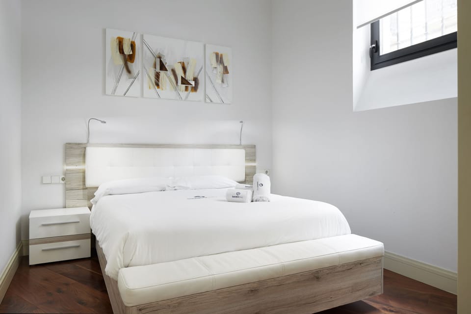 Eider - Basque Stay in San Sebasti n Donostia Apartment in San Sebastian