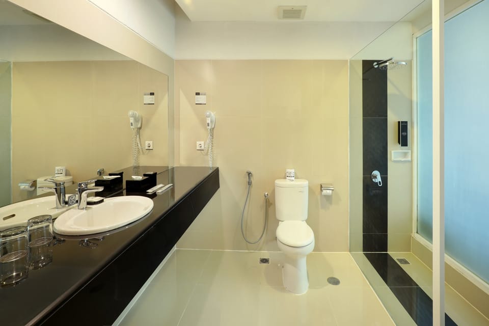 Deluxe Room | Bathroom | Shower, free toiletries, hair dryer (on request), slippers