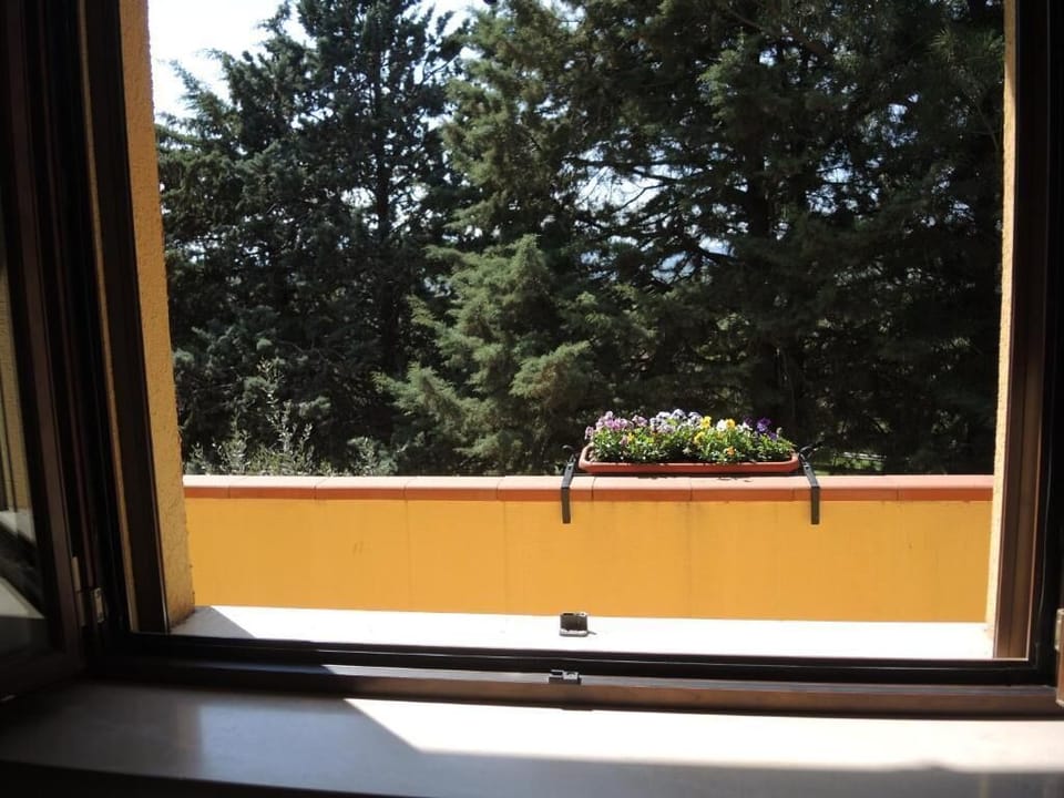 Classic Single Room, Hill View | Interior
