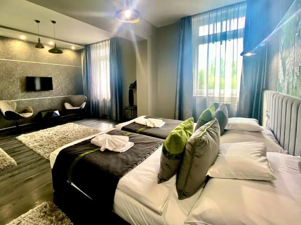 Standard Double or Twin Room, City View | Desk, free WiFi