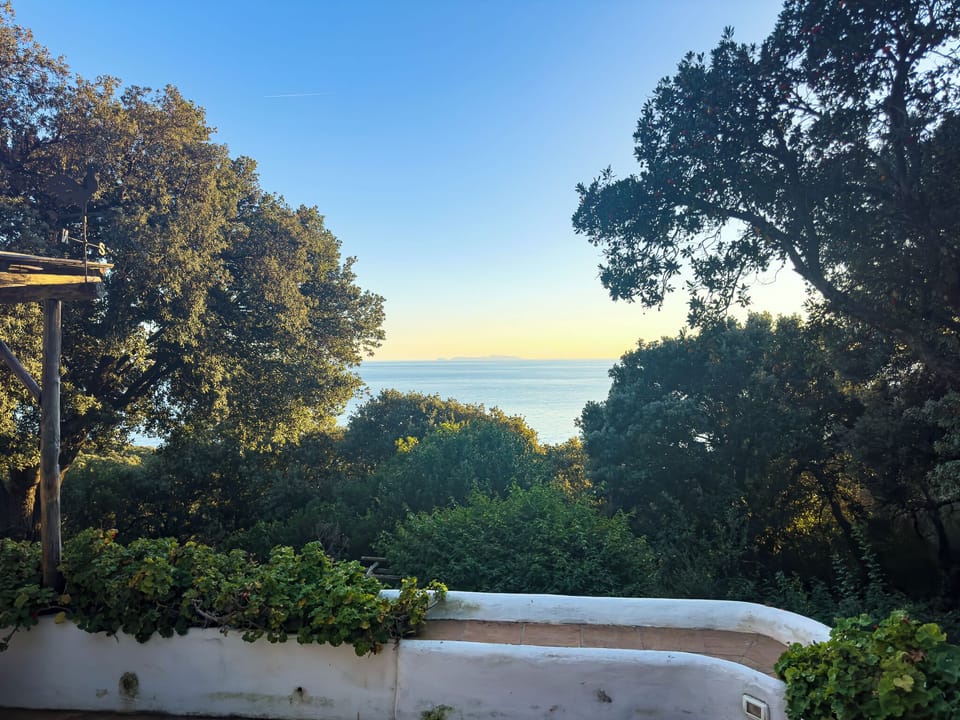 View from property
